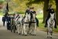 FUNERAL_20131016_012.JPG