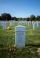ARLINGTON_0001.jpg