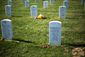 ARLINGTON_0006.jpg