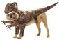 10302013_doggy8201.jpg
