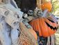 sleepy-hollow-eenjpeg-0d650_mugshot_four_by_three.jpg