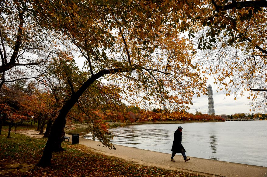 Bob Berry of Washington, D.C., Washington, D.C. walks along the Tidal Basin, Washington, D.C., Tuesday, November 12, 2013. (Andrew Harnik/The Washington Times)