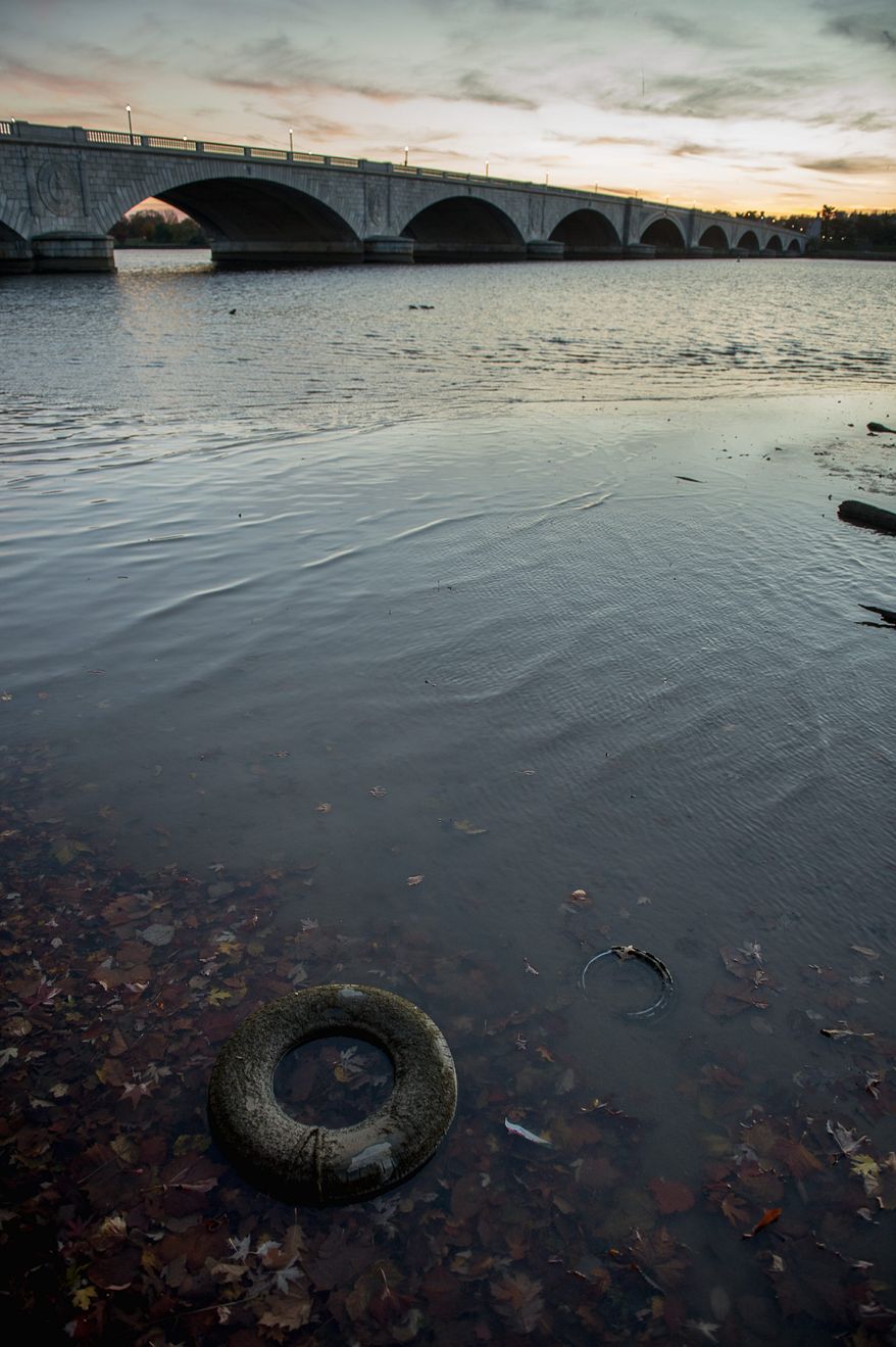 Pollution is down in the Potomac River, according to the Potomac Conservancy's report, but the growth rate of underwater grass — an indicator of a healthy river — has dropped below 40 percent for the first time in seven years. (andrew harnik/the washington times)