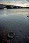 RIVER_20131119_003.JPG