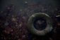 RIVER_20131119_004.JPG