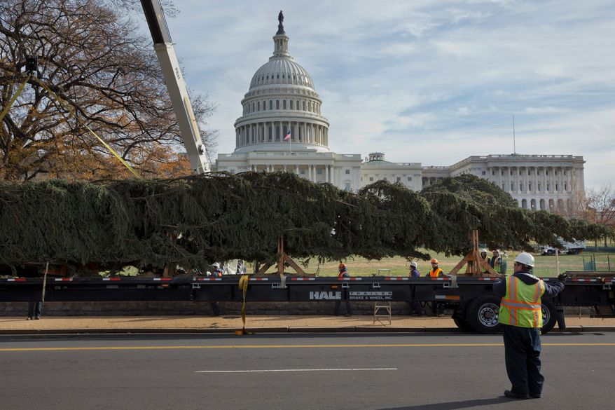 The 2013 Capitol Christmas Tree, an 88-foot-tall Engelmann spruce from Colville National Forest in Washington state, arrives Monday on Capitol Hill ready to be adorned with more than 5,000 homemade ornaments before it is lit Dec. 3. (Associated Press)