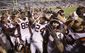 Virginia Tech Virginia Football.JPEG-00e5c.jpg
