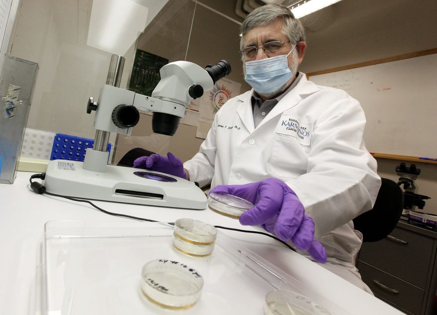 CUTTING EDGE: Dr. James Eliason studies induced pluripotent stem cell lines, an alternative to embryonic stem cell research. Grant funding seems to be trending toward projects that use adult stem cells. (ASSOCIATED PRESS)