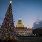 The U.S. Capitol Christmas tree is lit against the early morning sky Wednesday, Dec. 4, 2013, in Washington. The tree was officially lit Tuesday night to kick off the holiday season in the nation&#39;s capital. (AP Photo/J. David Ake)