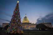 Capitol Christmas Treet.JPEG-060a7.jpg