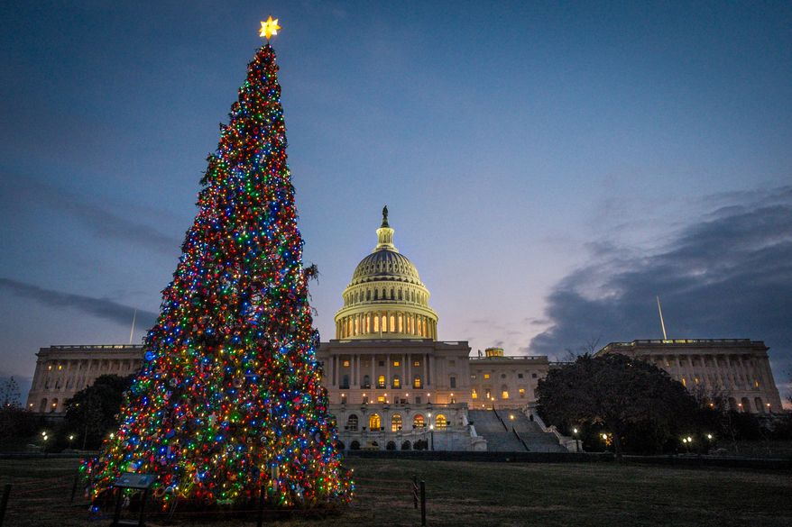 The U.S. Capitol Christmas tree is lit against the early morning sky Wednesday, Dec. 4, 2013, in Washington. The tree was officially lit Tuesday night to kick off the holiday season in the nation's capital. (AP Photo/J. David Ake)