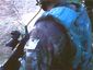 britain-afghanistan_live_mugshot_four_by_three.jpg