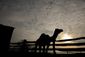 HOLIDAY_20131216_022.JPG