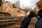 HOLIDAY_20131216_024.JPG