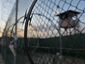 2_guantanamo-sept-11-tr_live_mugshot_four_by_three.jpg