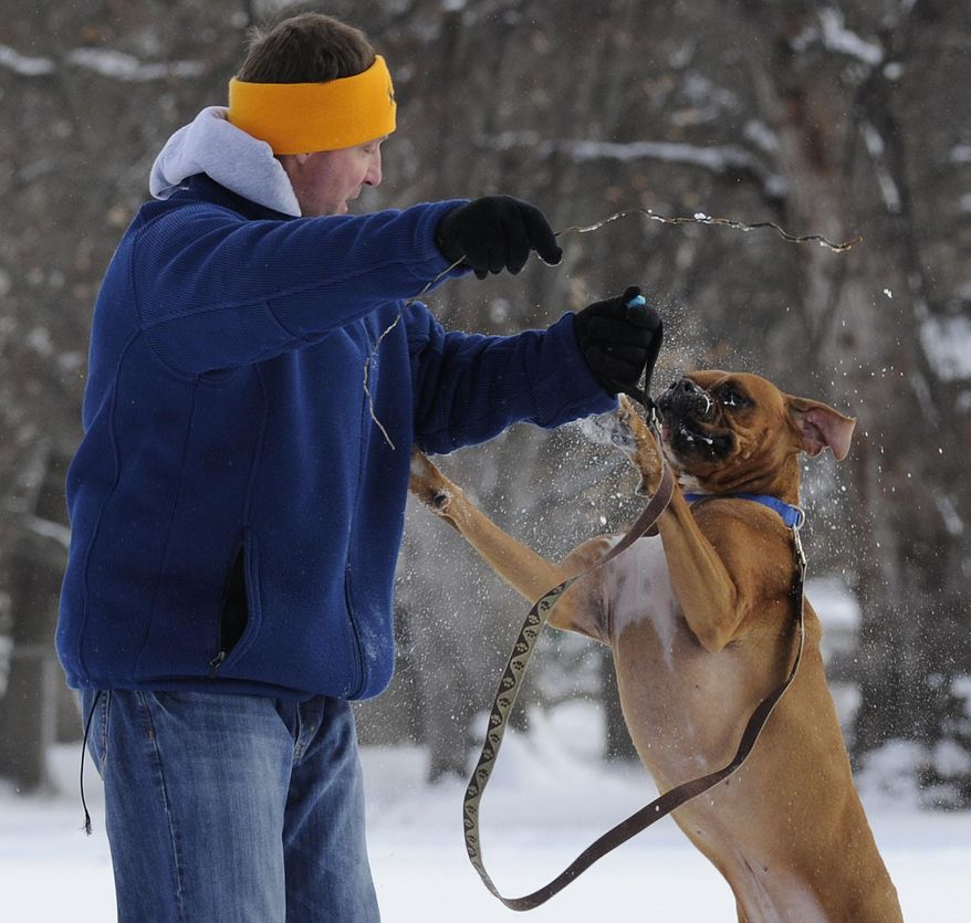Ed Gurtis plays in the snow with his dog, Bo, in KIngston, Pa., Friday Jan. 3, 2014. Northern and eastern Pennsylvania saw 6 to 8 inches of snow, while southern and western Pennsylvania saw 2 to 5 inches, the National Weather Service said Friday. (AP Photo/The Citizens' Voice, Mark Moran) MANDATORY CREDIT