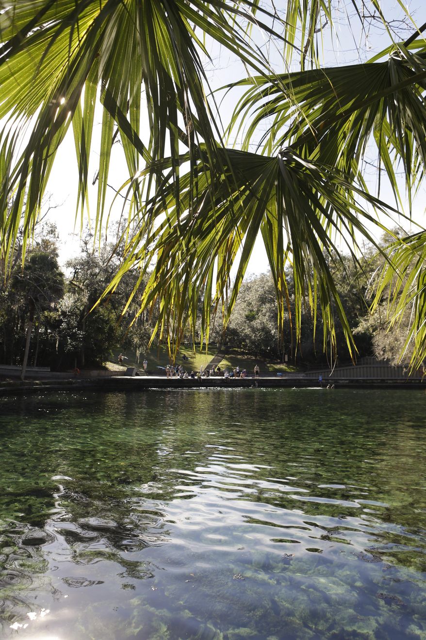 In this Monday, Dec. 30, 2013 photo, the clear waters of Wekiva Springs are seen at the Wekiva Spring State Park in Apopka, Fla. Sometime in 2014, Florida will surpass New York in population and the state’s primary source of water from the Florida Aquifer is becoming smaller due to the growth in population. (AP Photo/John Raoux)