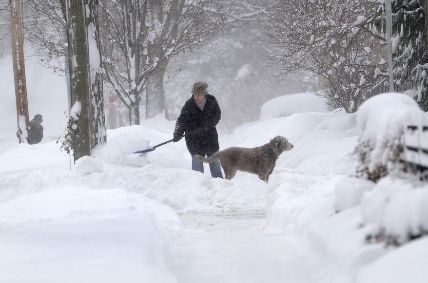 Michelle Kottke shovels snow with the help of her dog Harlee in Barrington, Ill., Thursday, Jan. 2, 2014. The New Year's Day snow storm stretched into Thursday for parts of Illinois, bringing double-digit snow totals to the suburbs of Chicago. (AP Photo/Daily Herald, Bob Chwedyk) MANDATORY CREDIT; MAGS OUT; TV OUT
