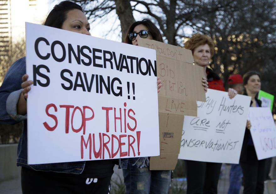Veronica Rodriguez, left, of Garland Texas, stands with nearly 40 others protesting outside the Dallas Safari Club's weekend show and auction, Saturday, Jan. 11, 2014, in Dallas. Hunt the black rhino to save the black rhino. That's the Dallas Safari Club's approach to a fundraiser for efforts to protect the endangered species. The group hopes to raise more than $200,000 Saturday by auctioning off the right to shoot and kill a black rhinoceros in the African nation of Namibia. (AP Photo/Tony Gutierrez)