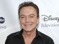 2_people-david-cassidy_watt-2_mugshot_four_by_three.jpg