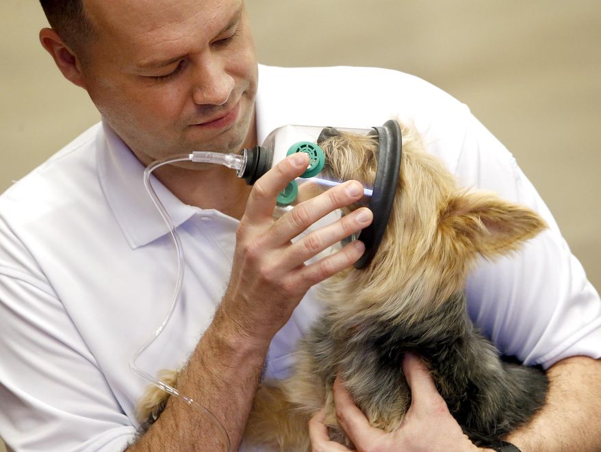 Northport Fire Service spokesman Capt. Jason Norris demonstrates how a pet oxygen mask works on Milo at Northport Fire Station 1 Monday, Jan. 13, 2014. Northport Fire Rescue, in partnership with Invisible Fence, received a donation of pet oxygen masks that will work with their current apparatus systems to keep on their trucks. (AP Photo/The Tuscaloosa News, Dusty Compton)