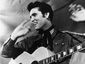 Elvis_Lawsuits.sff_mugshot_four_by_three.jpg