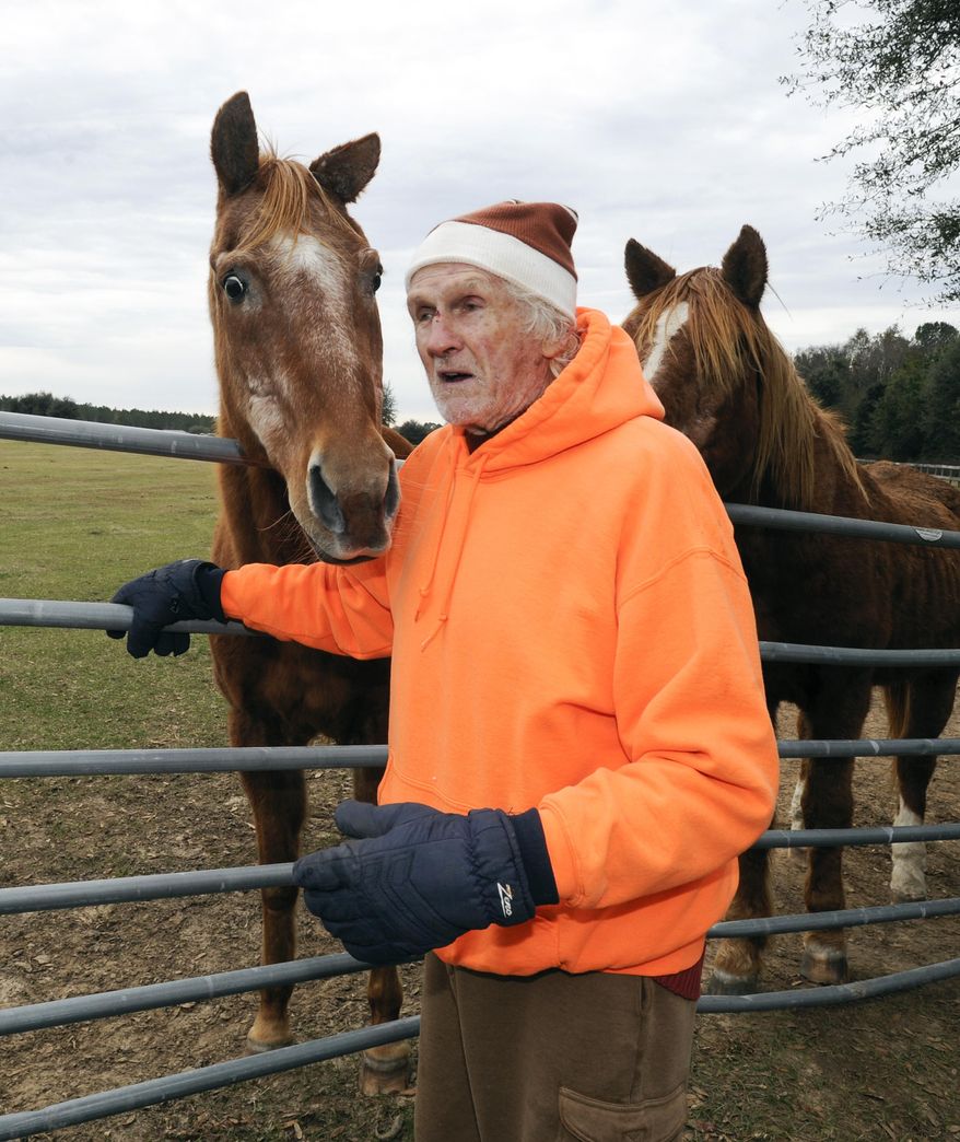 Peter Gregory talks with some of his horses Wednesday, Jan. 8, 2014 at the Mill Creek Farm in Alachua, Fla., where he and his wife care for more abused and neglected horses. About 130 horses have this 325-acre farm as their retirement home, doted on by the Gregorys, who promise each horse who arrives at the farm that it will never be worked or ridden again. Nearly all of the horses have worked for years in law enforcement, military or other service jobs; a few have been seized by police. (AP Photo/Phil Sandlin)