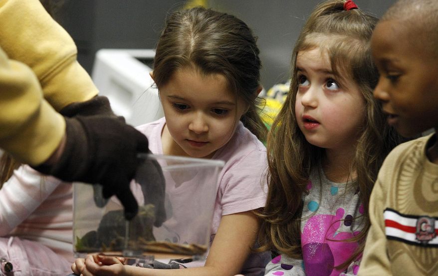 In this Dec. 19, 2013 photo, Scovill Zoo volunteer Bob Luther shows kindergartners, from left, Addyson Tippit, Kiersten Williamson and Tristan Walls a giant marine toad during a Scovill Zoo Mobile Zoo visit to Baum School in Decatur, Ill. (AP Photo/Herald & Review, Jim Bowling)