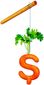 1_282014_b1-carson-carrot-st8201.jpg