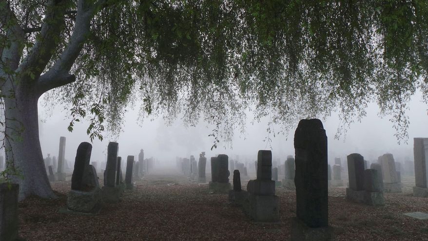 Dense fog blankets Evergreen Cemetery in Los Angeles early Wednesday, Jan. 29, 2014. The National Weather Service issued fog advisories for Southern California coastal areas and some valleys, citing visibilities of a quarter-mile or less. (AP Photo/Nick Ut)