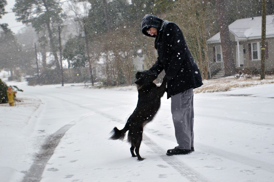 Michael Gallagher plays with his dog Molly as he takes her for a walk in the snow in Pineville, La, Tuesday, Jan. 28, 2014. (AP Photo/The Daily Town Talk, Melinda Martinez) NO SALES