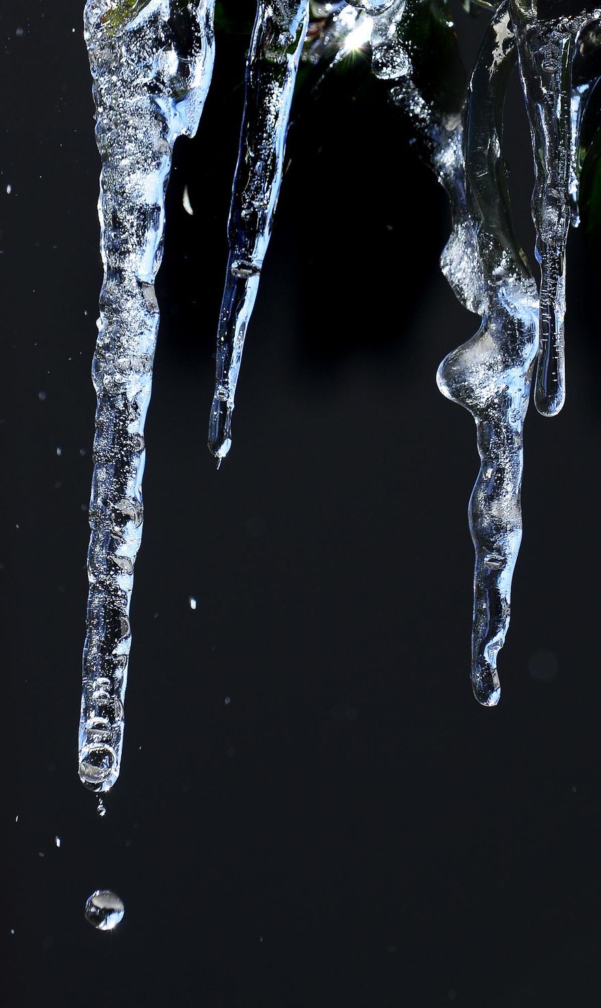 Ice and snow melt as sunshine and warmer temperatures arrive in Montgomery, Ala., on Thursday Jan 30, 2014. A winter storm paralyzed much of the south this week. (AP Photo/Montgomery Advertiser, Mickey Welsh) NO SALES.