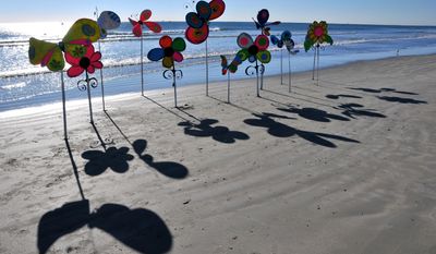 ADVANCE FOR THE WEEKEND OF FEB. 1-2 AND THEREAFTER - In a Jan. 23, 2014 photo, Minneapolis-based artist David Cook &amp;quot;plants&amp;quot; the beach with his flowers, made of duct tape, cardboard, wooden sticks and wire, on the beach in front of Ron Jons Cape Caribe Resort in Brevard, Fla. He spends hours and days designing and creating large colorful butterflies, flowers and whatever he thinks of, to surprise passersby at different locations. (AP Photo/Florida Today, Malcolm Denemark)  NO SALES