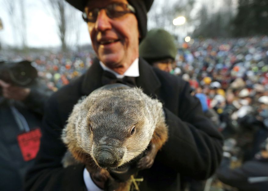 FILE - In a Saturday, Feb. 2, 2013 file photo, Groundhog Club co-handler Ron Ploucha holds the weather predicting groundhog, Punxsutawney Phil, after the club said Phil did not see his shadow and there will be an early spring, on Groundhog Day, in Punxsutawney, Pa. Groundhog Day coincides with the Super Bowl for the first time on Sunday, Feb. 2, , but Punxsutawney Phil’s people say they don’t expect the big game to steal his early morning spotlight. the Punxsutawney Groundhog Club expects about 20,000 revelers to gather around Gobbler’s Knob when western Pennsylvania’s world-famous rodent emerges from his lair just after dawn Sunday. (AP Photo/Keith Srakocic, File)