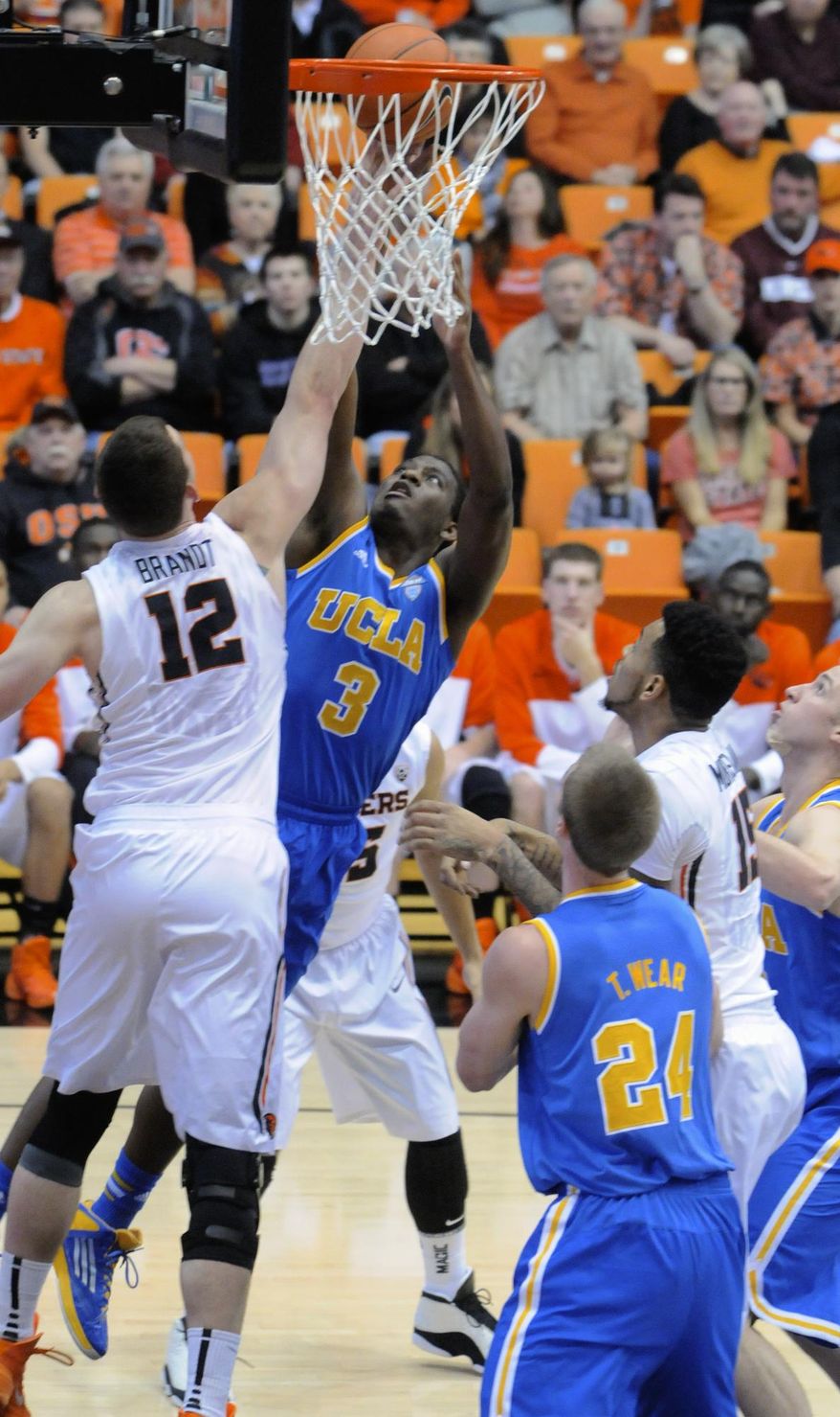 UCLA's Jordan Adams (3) shoots against Oregon State's Angus Brandt (12) during the first half of an NCAA college basketball game in Corvallis, Ore., Sunday, Feb. 2, 2014. (AP Photo/Greg Wahl-Stephens)