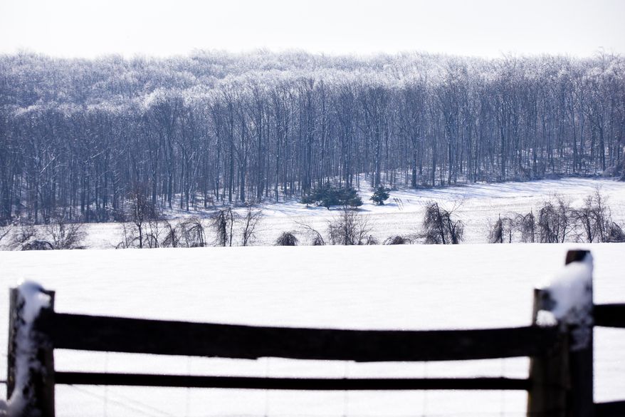Ice covers the landscape in the aftermath of a winter storm, Friday, Feb. 7, 2014, in Downingtown, Pa. Utility crews in Pennsylvania are still trying to restore power to more than 320,000 customers who remain without power two days after an ice storm downed trees and power lines. (AP Photo/Matt Rourke)