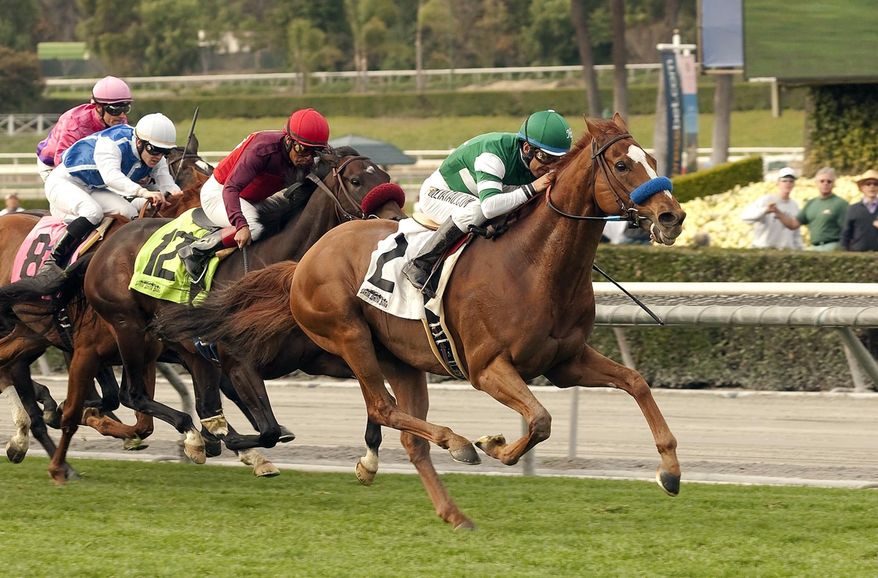 ** FILE ** Irish-bred Vagabond Shoes, right, with Victor Espinoza aboard, wins the Grade II San Marcos Stakes horse race on Saturday, Feb. 8, 2014, at Santa Anita Park in Arcadia, Calif. (AP Photo/Benoit Photo)