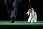 2_122014_dog-show-338201.jpg