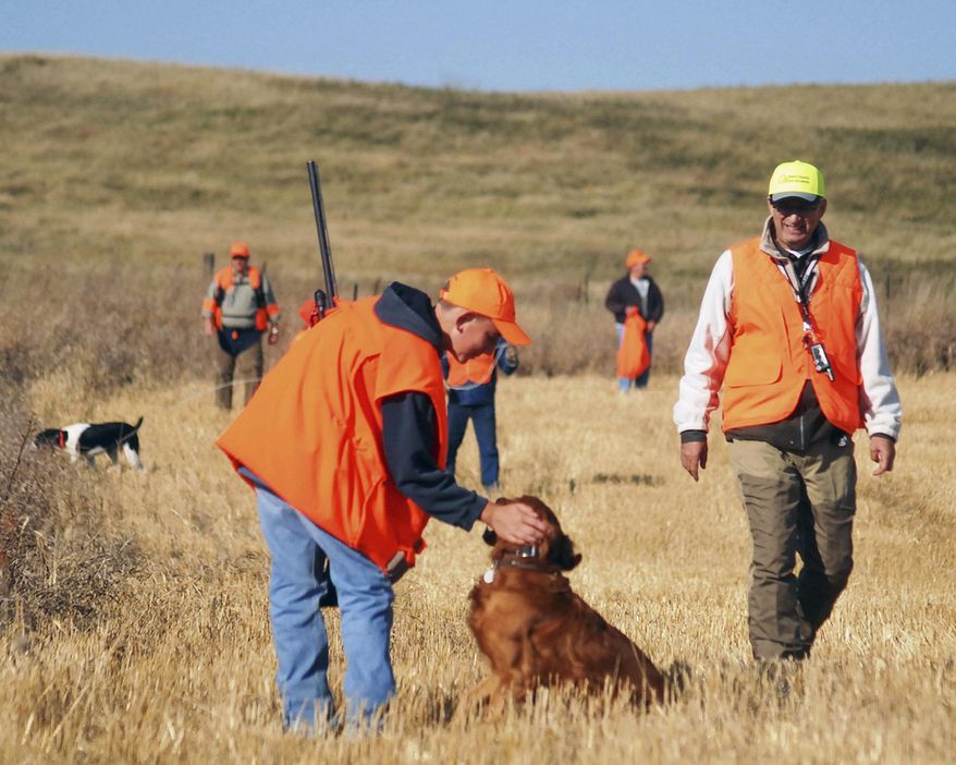 FILE -In this Oct. 1, 2011 photo, a young hunter praises Gunner the dog after working an area for pheasant during the youth opener in Beulah, N.D. The federal government is setting aside $35 million over three years to help landowners conserve wetlands and grasslands in the five-state Prairie Pothole Region. The money is part of an incentive program built into the farm bill that President Obama signed into law. Wildlife officials say the region of North Dakota, South Dakota, Minnesota, Iowa and Montana provides important breeding and nesting habitat for more than 60 percent of the nation's migratory waterfowl. (AP Photo/The Bismarck Tribune, Brian Gehring, File)