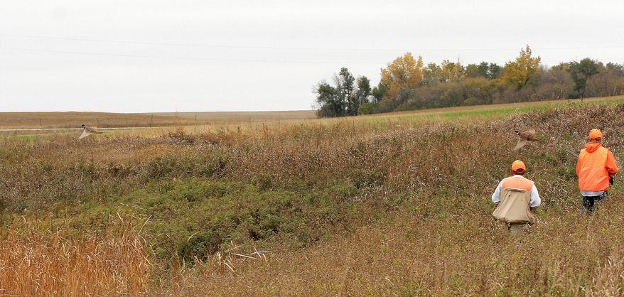 FILE - This 2007 file photo provided by the North Dakota Department of Game and Fish shows pheasant hunters Burleigh County during North Dakota hunting season.The federal government is setting aside $35 million over three years to help landowners conserve wetlands and grasslands in the five-state Prairie Pothole Region. The money is part of an incentive program built into the farm bill that President Obama signed into law. Wildlife officials say the region of North Dakota, South Dakota, Minnesota, Iowa and Montana provides important breeding and nesting habitat for more than 60 percent of the nation's migratory waterfowl. (AP Photo/North Dakota Game and Fish Department, File)
