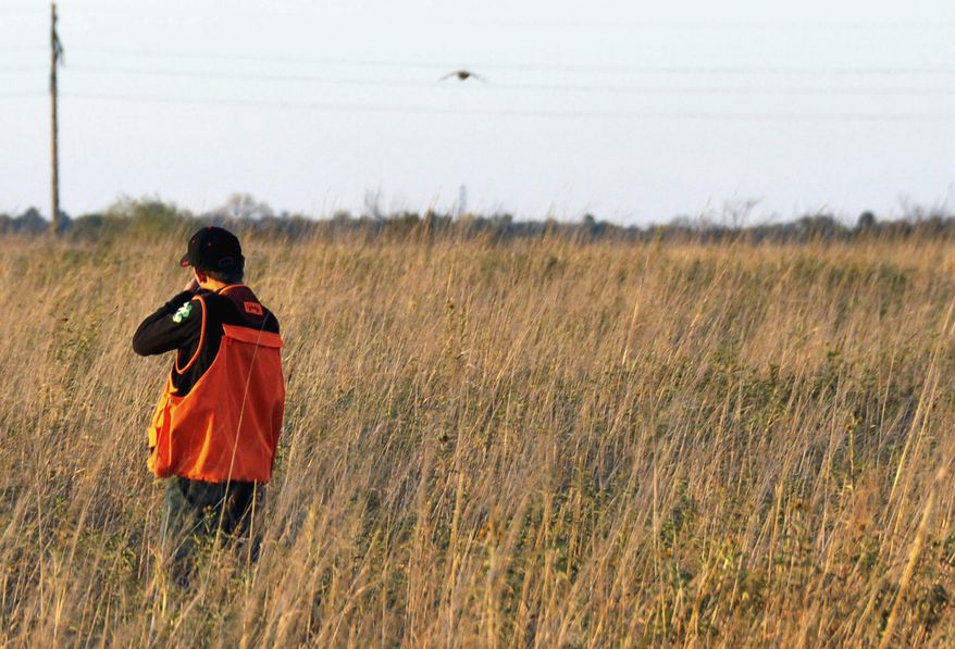 FILE - In this Oct. 7, 2012 file photo, 14-year-old Collin Cleveland, of Montrose, S.D., takes aim at a pheasant during the state's annual youth hunt on land near Tyndall, S.D. The federal government is setting aside $35 million over three years to help landowners conserve wetlands and grasslands in the five-state Prairie Pothole Region. The money is part of an incentive program built into the farm bill that President Obama signed into law. Wildlife officials say the region of North Dakota, South Dakota, Minnesota, Iowa and Montana provides important breeding and nesting habitat for more than 60 percent of the nation's migratory waterfowl. (AP Photo/Dirk Lammers, File)