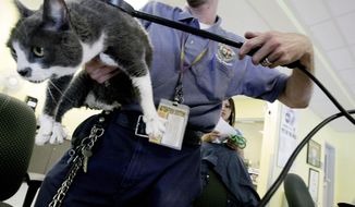 Jacob Miller scans a cat for a microchip at the East Valley Animal Shelter in the Van Nuys section of Los Angeles in this July 20, 2011, file photo. (AP Photo/Richard Vogel, File)