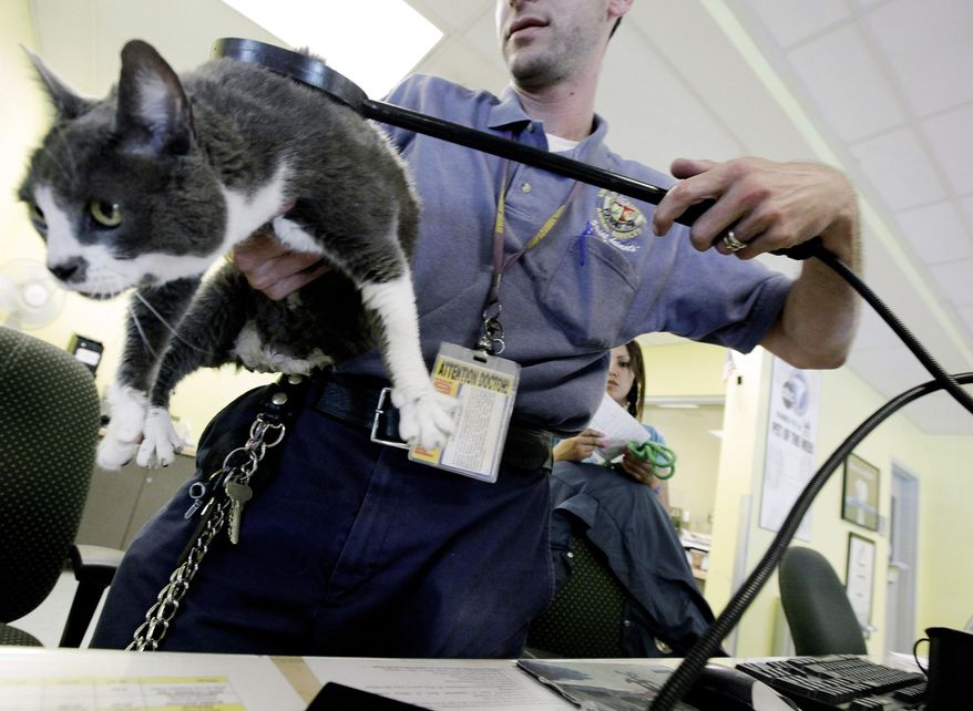 Jacob Miller scans a cat for a microchip at the East Valley Animal Shelter in the Van Nuys section of Los Angeles in this July 20, 2011, file photo. (AP Photo/Richard Vogel, File)