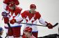 Sochi Olympics Ice Hockey Men.JPEG-0595c.jpg