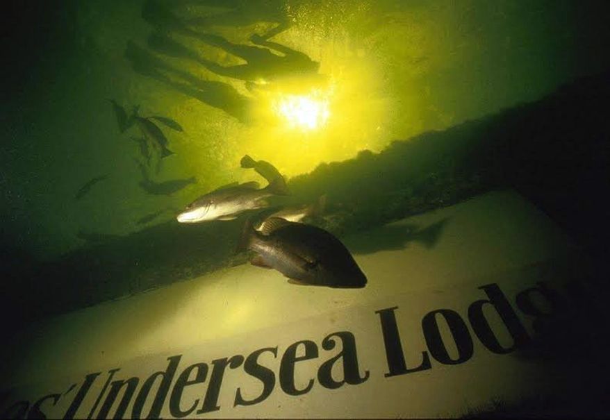 This photo released by the Marine Resources Development Foundation. shows the Jules Undersea Lodge. which sets in 21 feet of water in a lagoon in Key Largo. (AP Photo/Marine Resources Development Foundation)