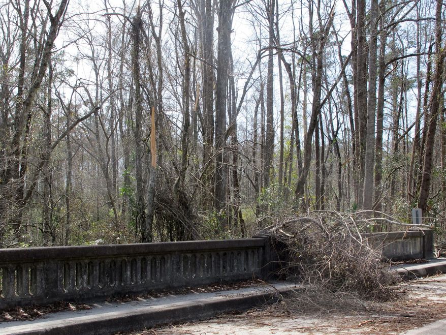 A stand of trees damaged in the worst ice storm in South Carolina in a decade is seen near Lodge, S.C., on Wednesday, Feb. 19, 2014. Officials estimate the storm damage could rival the nearly $100 million in timber damage caused by a storm in 2004. (AP Photo/Bruce Smith)