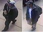 ap13041802900_mugshot_four_by_three.jpg
