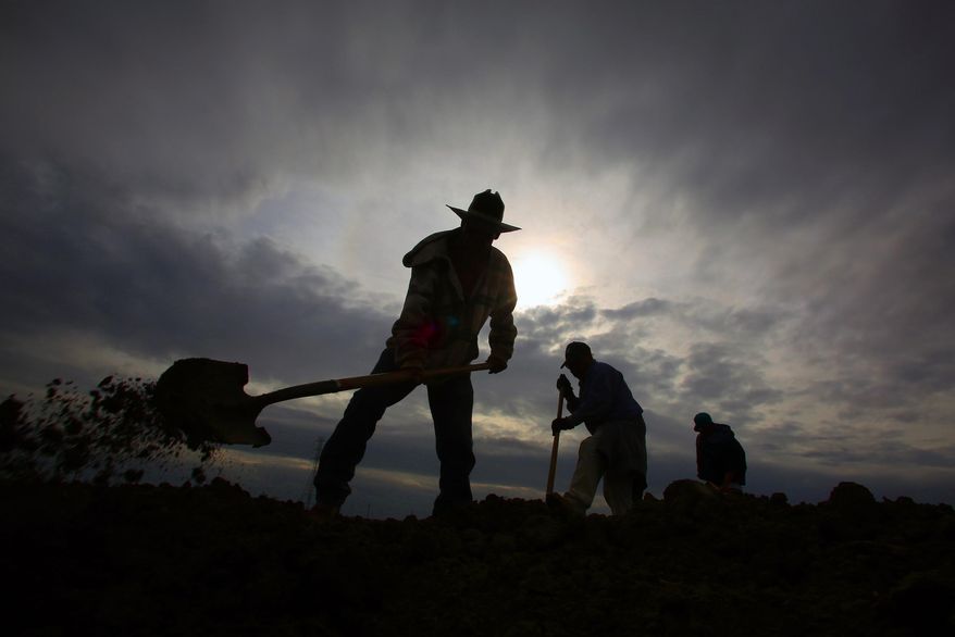 Fidel Meza shovels the dry soil looking for drip lines dry tomato field as storms arrive in the area Wednesday, Feb. 26, 2014 in Lemoore, Calif. The first significant California storm in months barreled down from the north Wednesday, promising much-needed rain to the drought-stricken state but also the threat of mudslides and flooding. A potentially stronger storm is expected to move in late Thursday. (AP Photo/Gary Kazanjian)