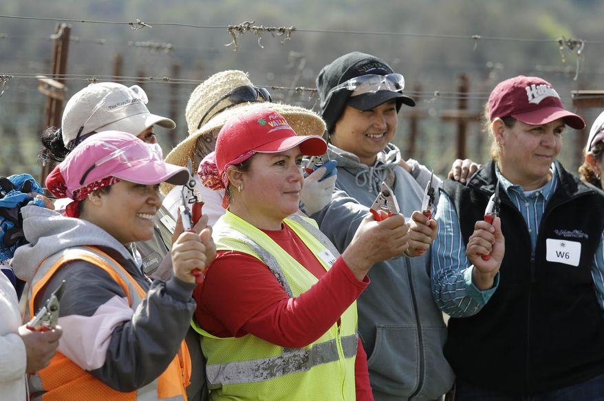In this Thursday, Feb. 20, 2014 photo, a group of women hold up their pruning shears while posing for a picture after competing in the first-ever women's division of the annual Napa Valley Grapegrowers' pruning competition at Beringer Vineyards' Gamble Ranch in Yountville, Calif. The decision to add a woman's division to the annual contest reflects demographic changes as more women have moved into the traditionally male field of vine husbandry. (AP Photo/Eric Risberg)