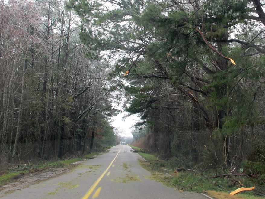 In this photo taken on Thursday, Feb. 13, 2014, broken tree limbs hang over the road and branches litter the shoulders of US Route 17A near Georgetown, S.C. The state Department of Transportation has more than 300 contract crews out clearing debris from highways around the state. A state emergency official said Friday, Feb. 28, 2014 that, while figures are still being compiled, damage from the storm will likely qualify sections of the state for designation as a federal disaster area - the first such designation in almost a decade. (AP Photo/Bruce Smith)